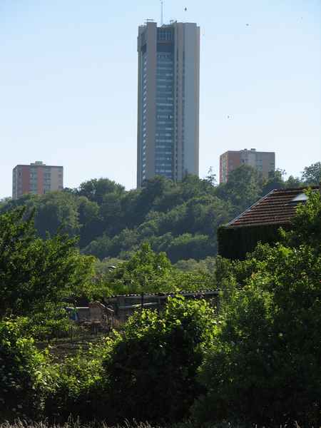 Tour Panoramique