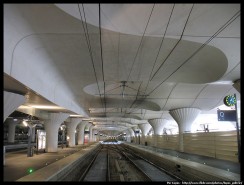 La rnovation de la gare d'Austerlitz, par Lupus