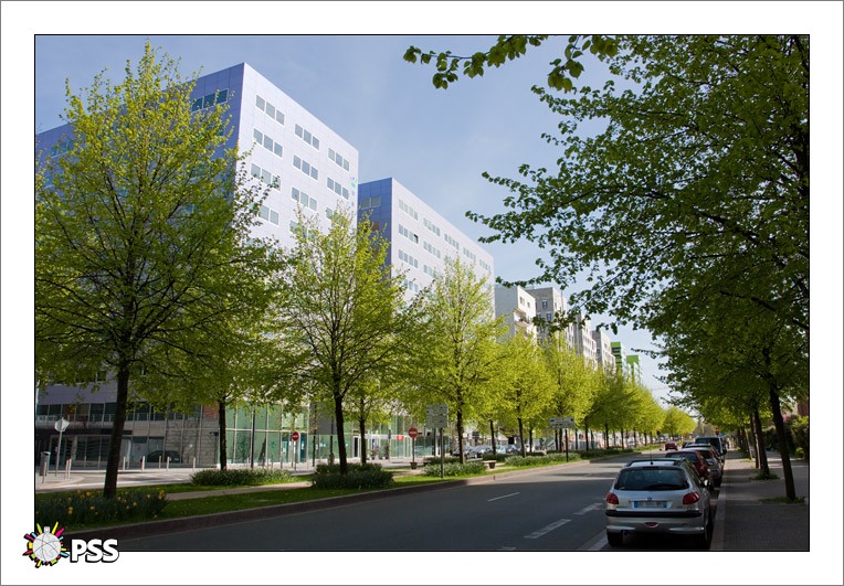 https://www.pss-archi.eu/membres/Nekobasu/lille/1302463368qre.jpg