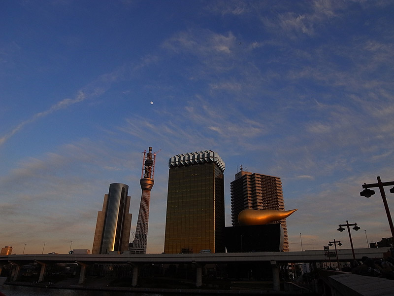 https://www.pss-archi.eu/membres/Nekobasu/photos_cc/tokyo/SkyTree20101217-1.jpg