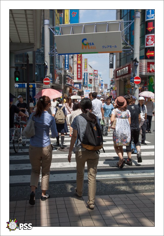 https://www.pss-archi.eu/membres/nekobasu/kawagoe/006.jpeg