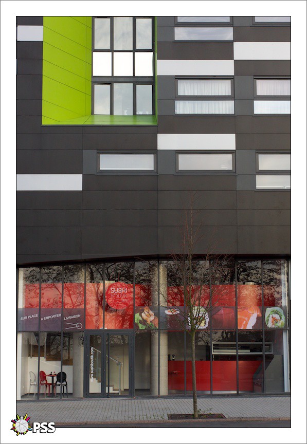 https://www.pss-archi.eu/membres/nekobasu/lille/polychrome20120122.jpeg