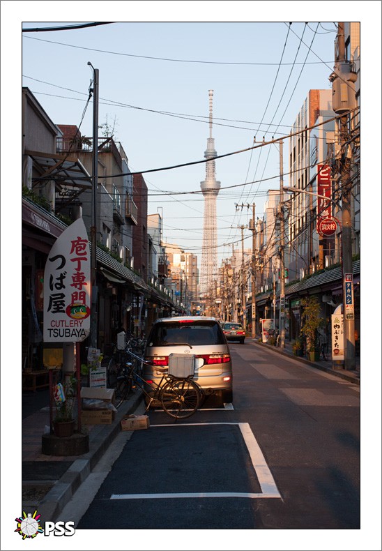 https://www.pss-archi.eu/membres/nekobasu/tokyo/313.jpeg
