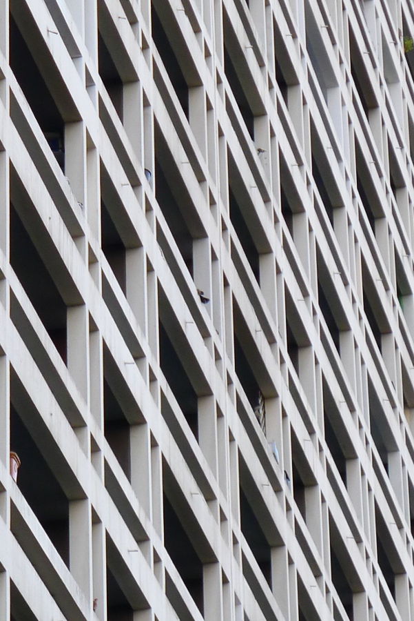 https://www.pss-archi.eu/photos/membres/1062/l/1382475628xrw.JPG