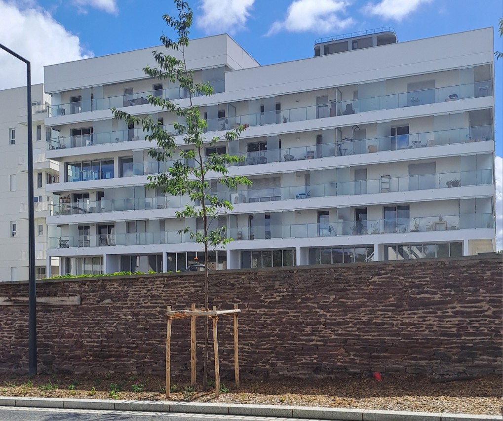 https://www.pss-archi.eu/photos/membres/13651/l/2025/07/1753095448yvqj.jpg
