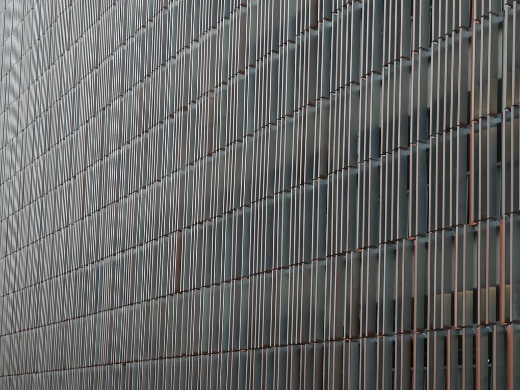 https://www.pss-archi.eu/photos/membres/1460/l/2019/07/1563114814ievy.jpg