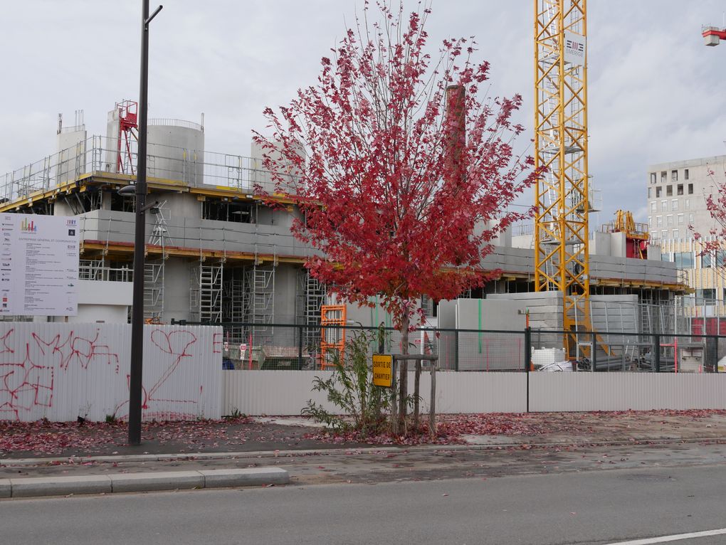https://www.pss-archi.eu/photos/membres/1460/l/2021/10/1635689473lptj.jpg