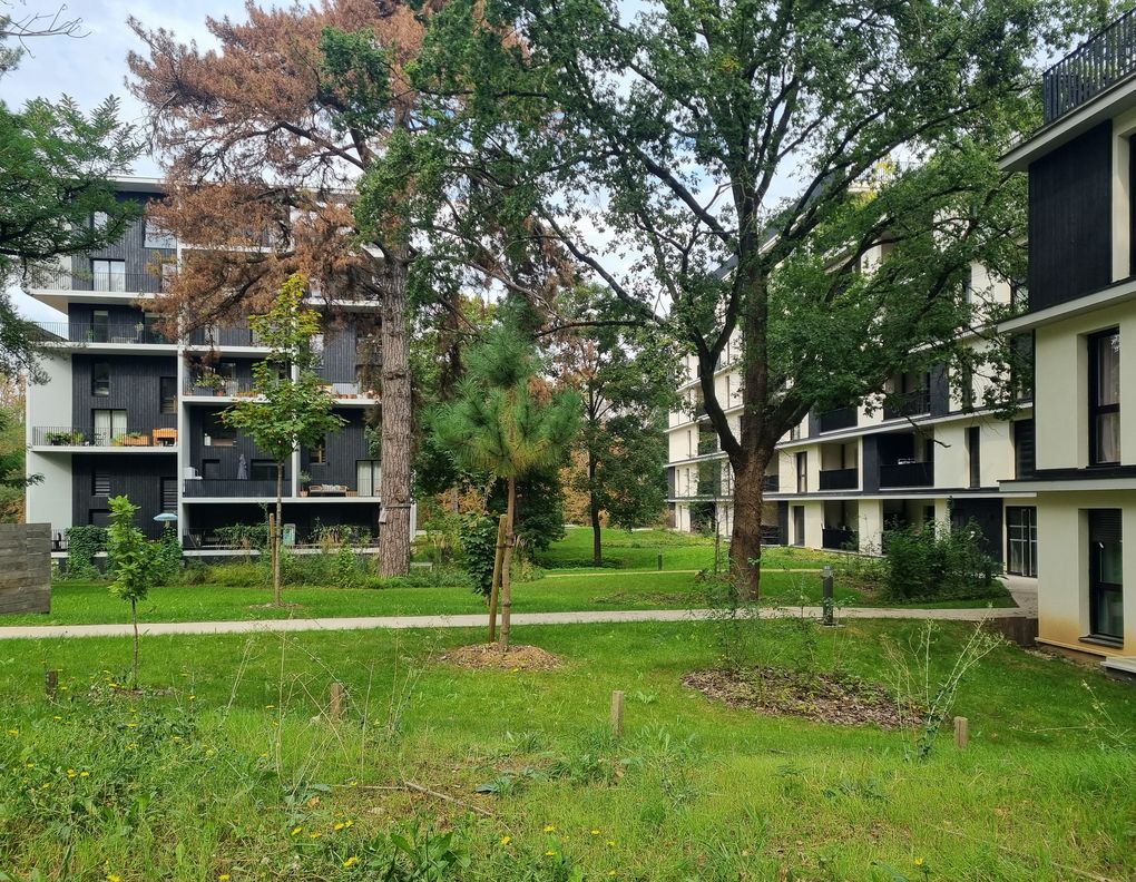 https://www.pss-archi.eu/photos/membres/1460/l/2024/09/1727013321ggui.jpg