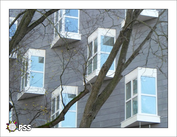 https://www.pss-archi.eu/photos/membres/2632/l/1355257199igh.jpg