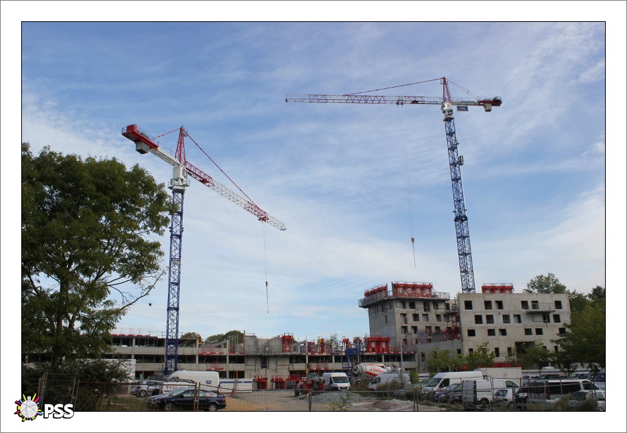 https://www.pss-archi.eu/photos/membres/2632/l/1474554853rad.jpg