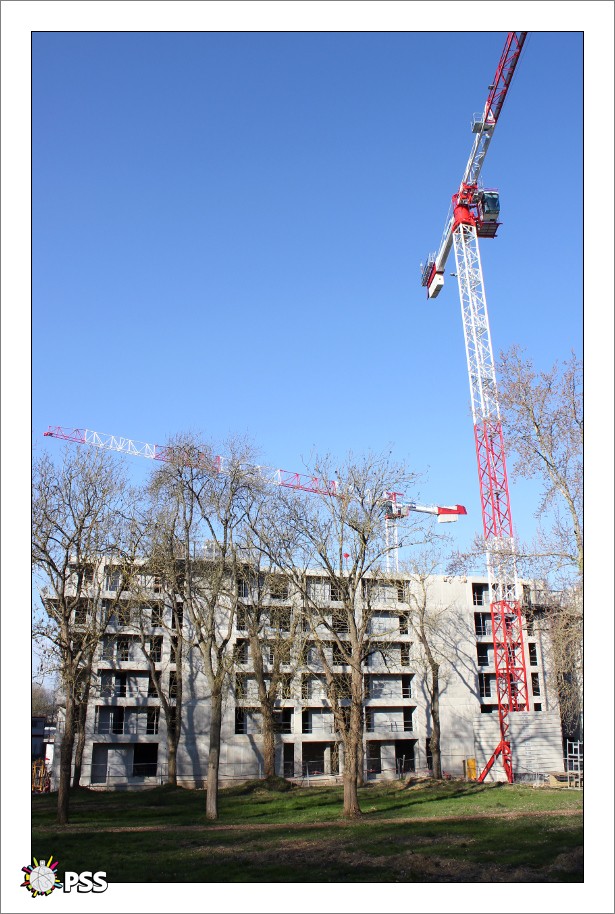 https://www.pss-archi.eu/photos/membres/2632/l/1519729768qhq.jpg