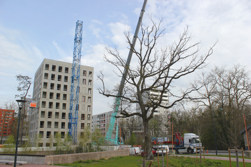 https://www.pss-archi.eu/photos/membres/2632/l/2023/04/1680685963wvic.jpg