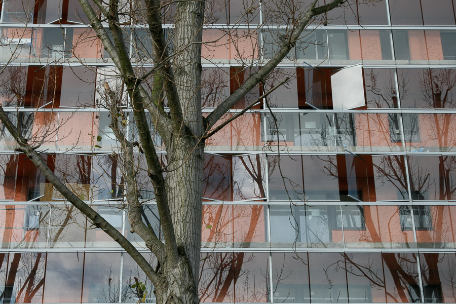 https://www.pss-archi.eu/photos/membres/46/l/1228564002I.jpg