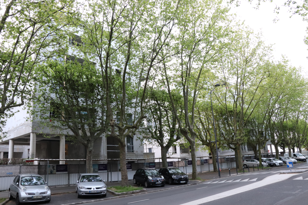 https://www.pss-archi.eu/photos/membres/5421/l/2024/04/1713695314iqfq.jpg