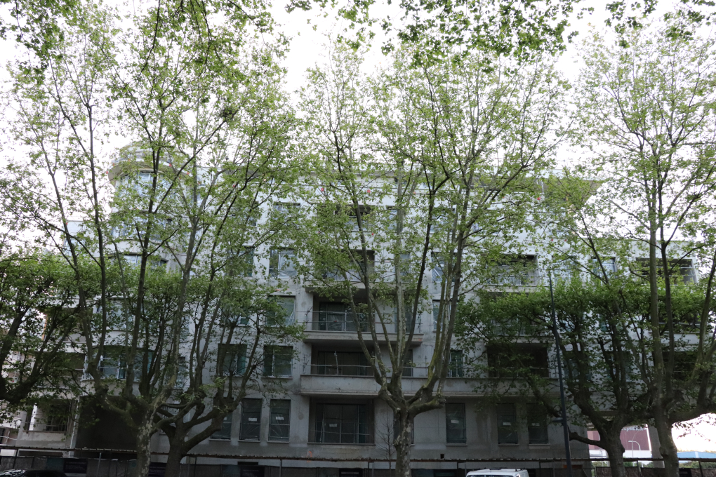 https://www.pss-archi.eu/photos/membres/5421/l/2024/04/1713695315pcka.jpg