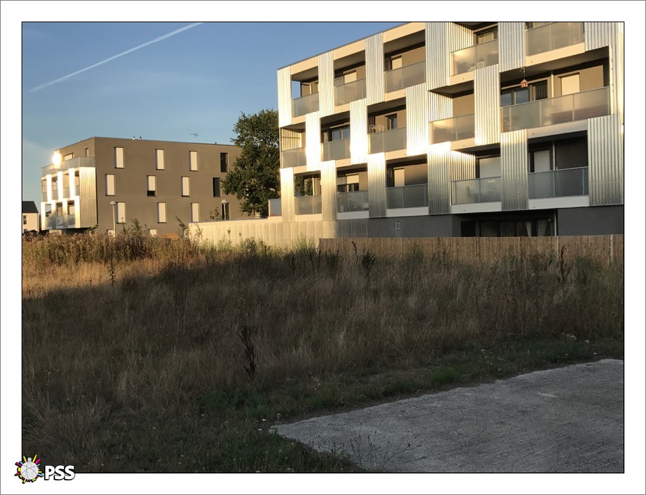 https://www.pss-archi.eu/photos/membres/6211/l/1502219818jvf.jpg