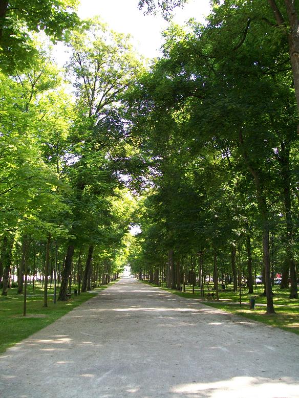https://www.pss-archi.eu/photos/membres/7721/l/1373899098hpl.jpg
